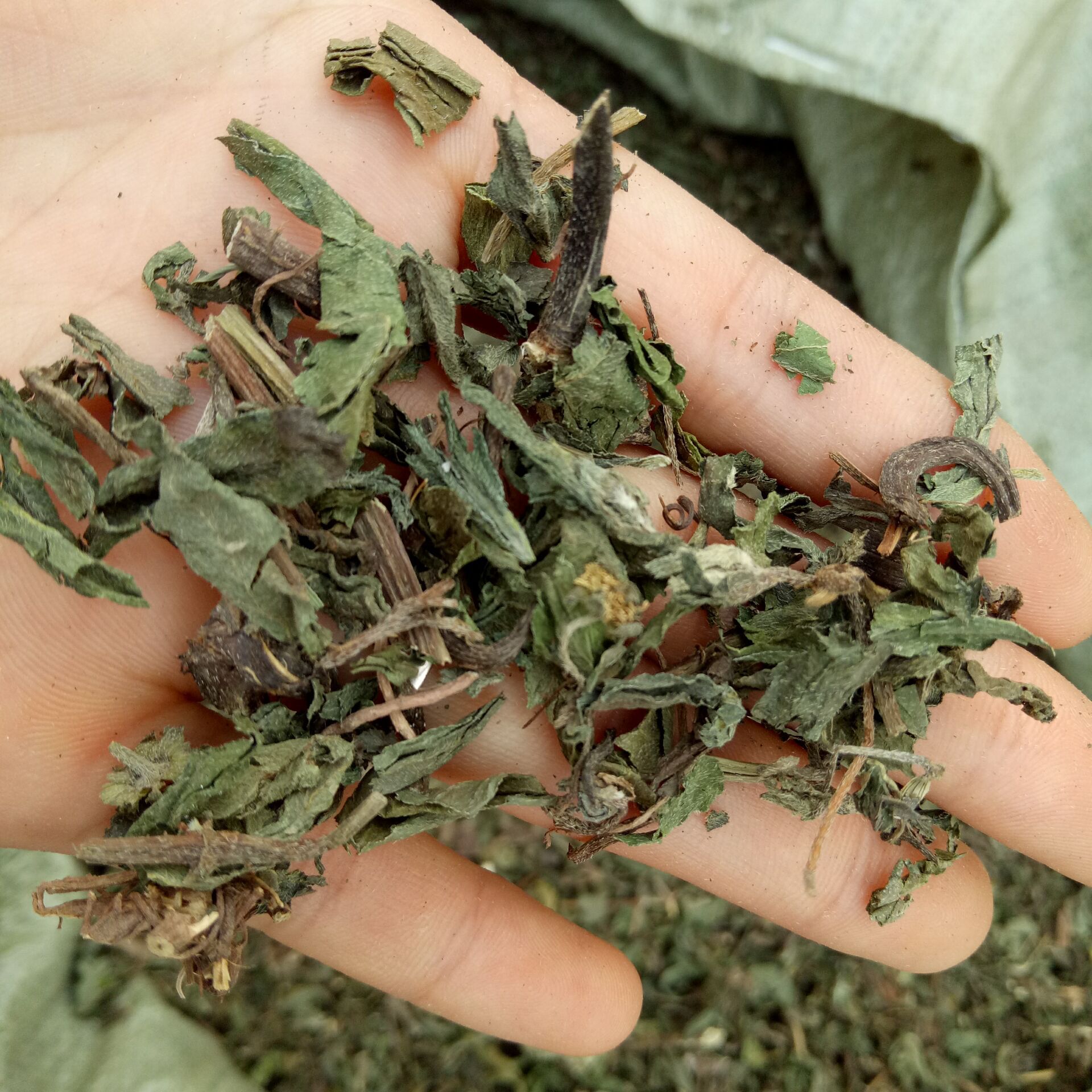 Dried Eclipta Herb Mo Han Lian Sliced Eclipta prostrata Whole Herb for Decoction and Tea 500g specifications