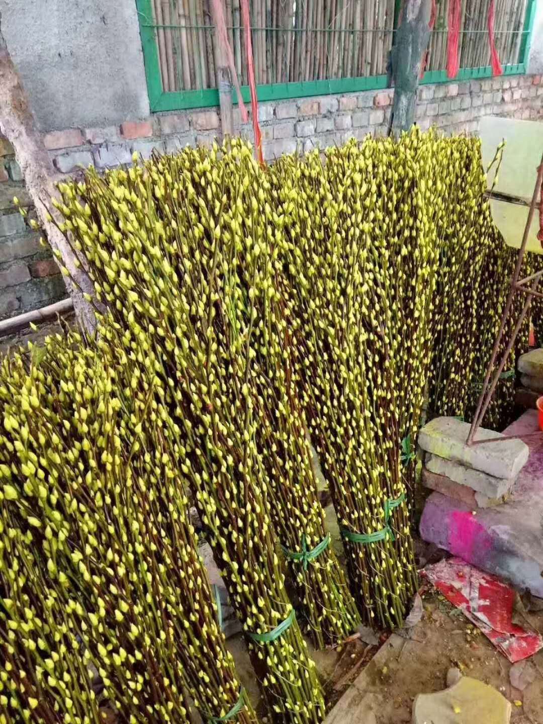 寰俊鍥剧墖_20171108153612