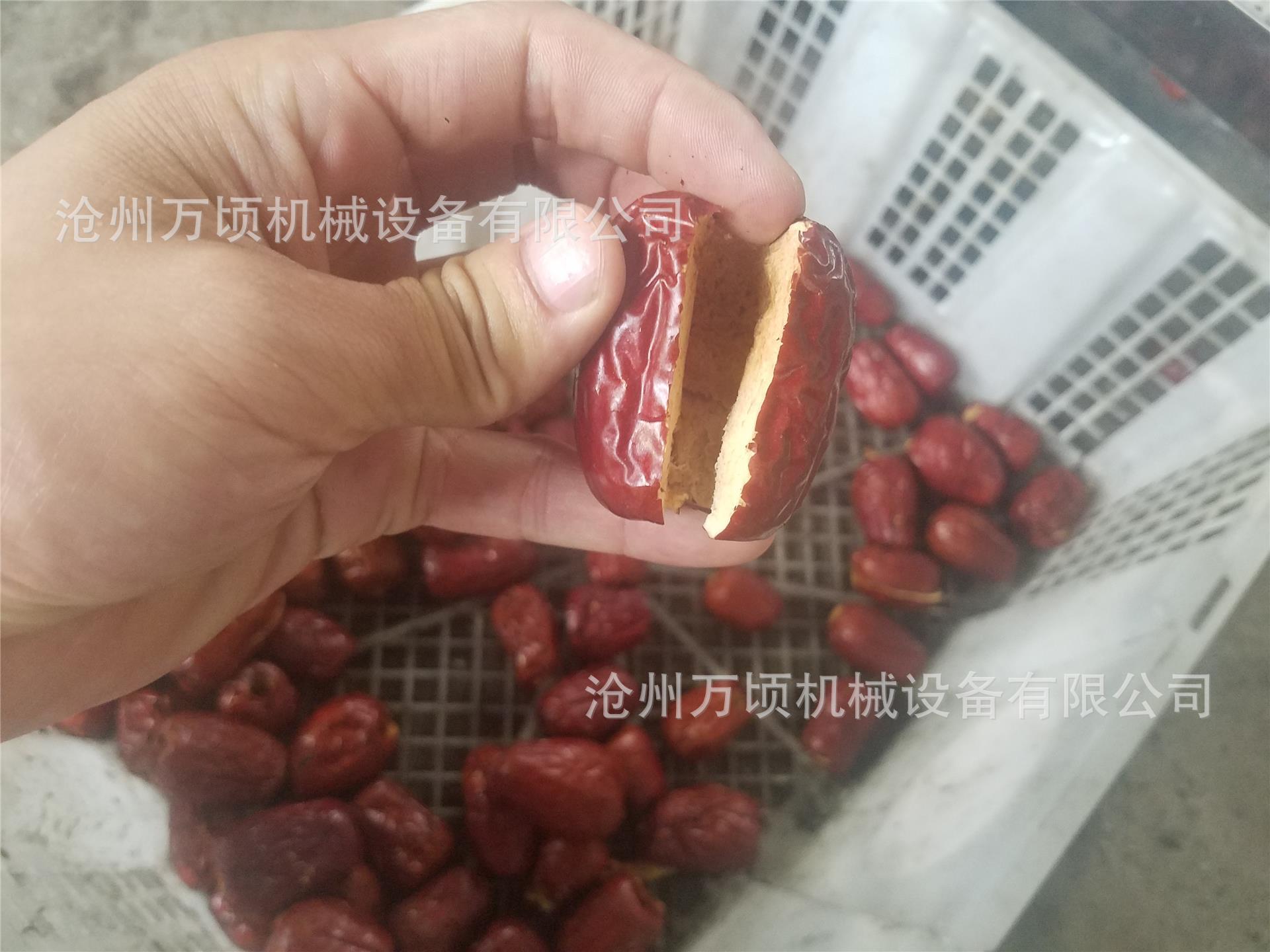 全自动青枣叼核机电动青枣叼核机