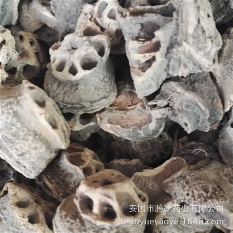 Dried Lotus Root Node Ou Jie TCM Herb Wholesale Bulk 500g overview
