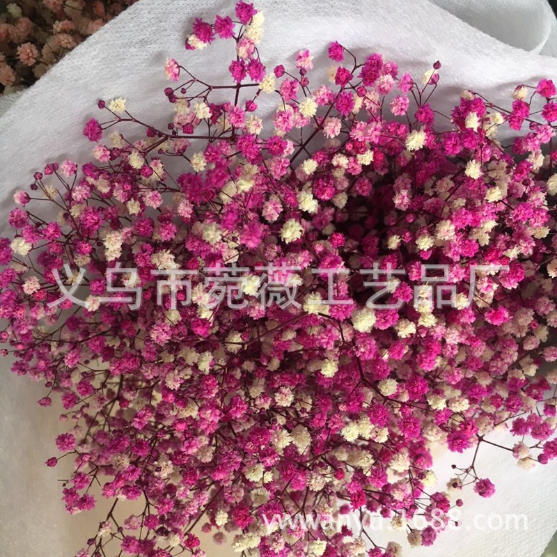 微信图片_20170921212849