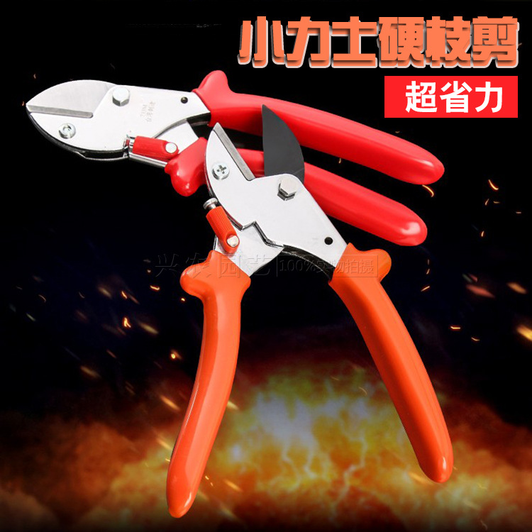 grape Pruning shears Lux Asperata scissors Pruners Pruning shears gardens tool Fruit tree