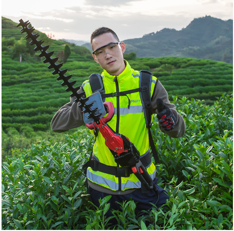 微信图片_20171127150258