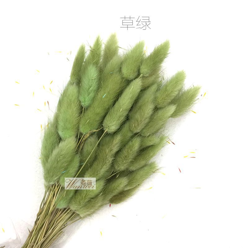 微信图片_20170521112048_副本