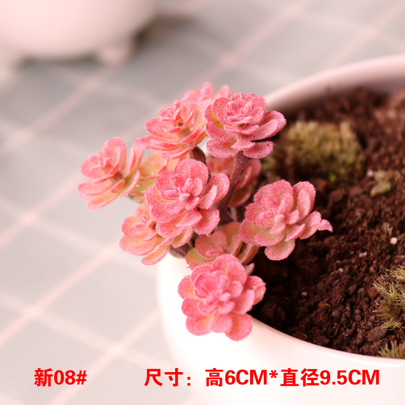 シミュレーション多肉植物卸売り小多肉優品偽緑植壁室内外装飾組み合わせ植毛リアル肉