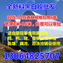 黑白膜全新塑料pep农用双色膜 食用菌专用养殖 防晒遮光膜 长寿膜PE膜