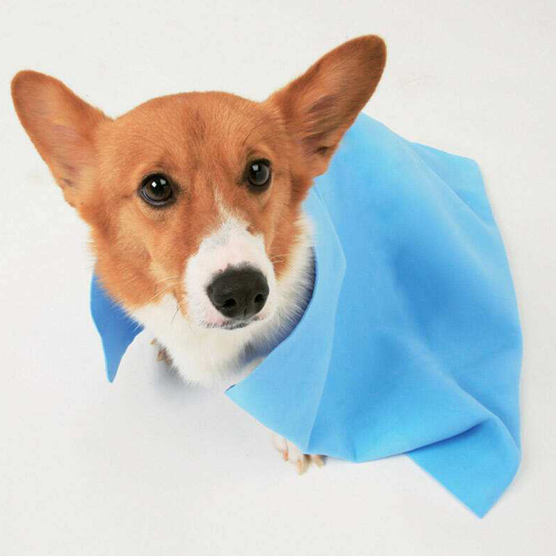 Customized Pet Towel Bath Quick-Drying Towel Absorbs Water and Keeps Dry Pet Bath Towel Factory Wholesale