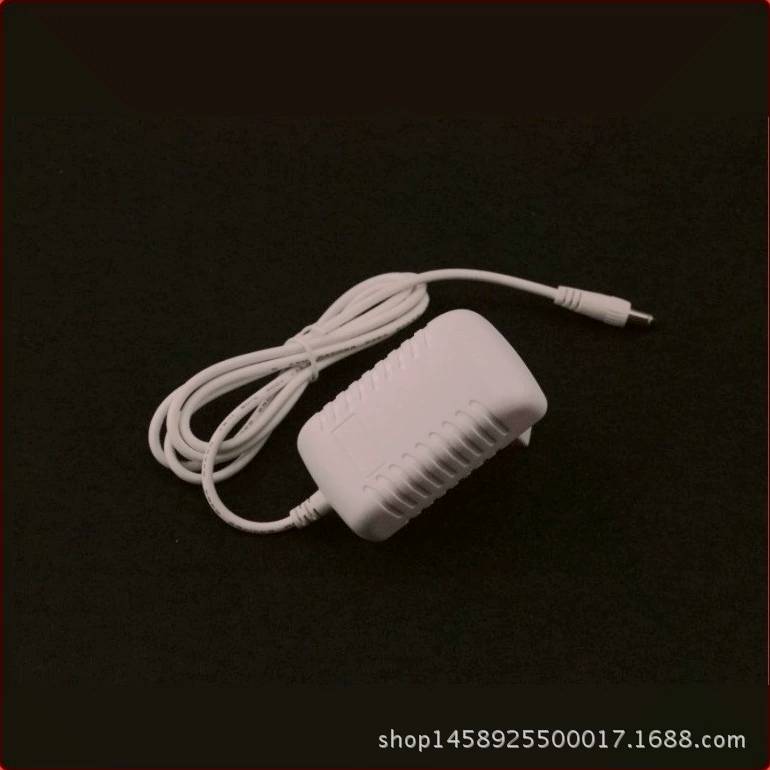 White electric switch key, power adapters, 12v, pet