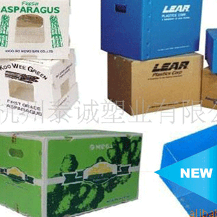 塑料瓦楞纸板厂家供应 钙塑箱塑料中空板箱钙塑箱刀卡中空板纸箱