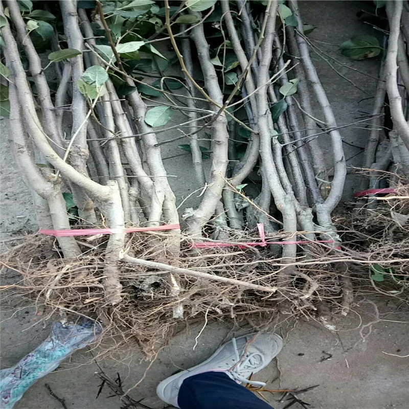 寰俊鍥剧墖_20171029102432