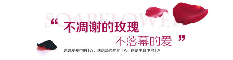 3634416541_1947137555