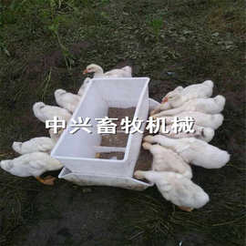 白色鸭用料箱图片   合成塑料料箱  种鸭限料料箱  肉鸭料箱厂家