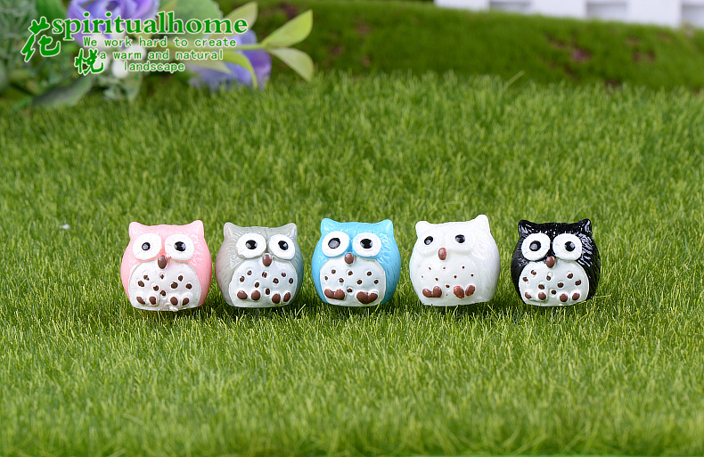 小号 5色猫头鹰 (3)