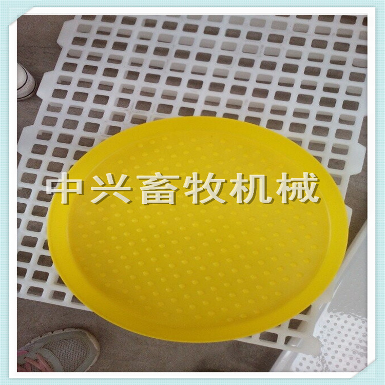 小鸡专用开食盘    雏鸡专用喂食盘	鸡用开食盘  喂料盘
