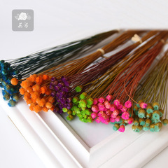 Brazilian Happy Flowers Everlasting Flower Gift Box with Matching Flowers, Dried Flowers, Home Flower Arrangement, Photo Prop