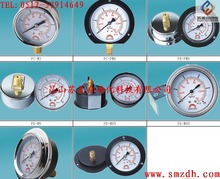 ̨SAFE GAUGESAFE GAUGEӋSAFE GAUGE͉