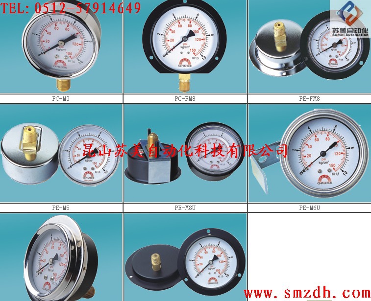 台湾SAFE GAUGE压力表，SAFE GAUGE压力计，SAFE GAUGE油压表