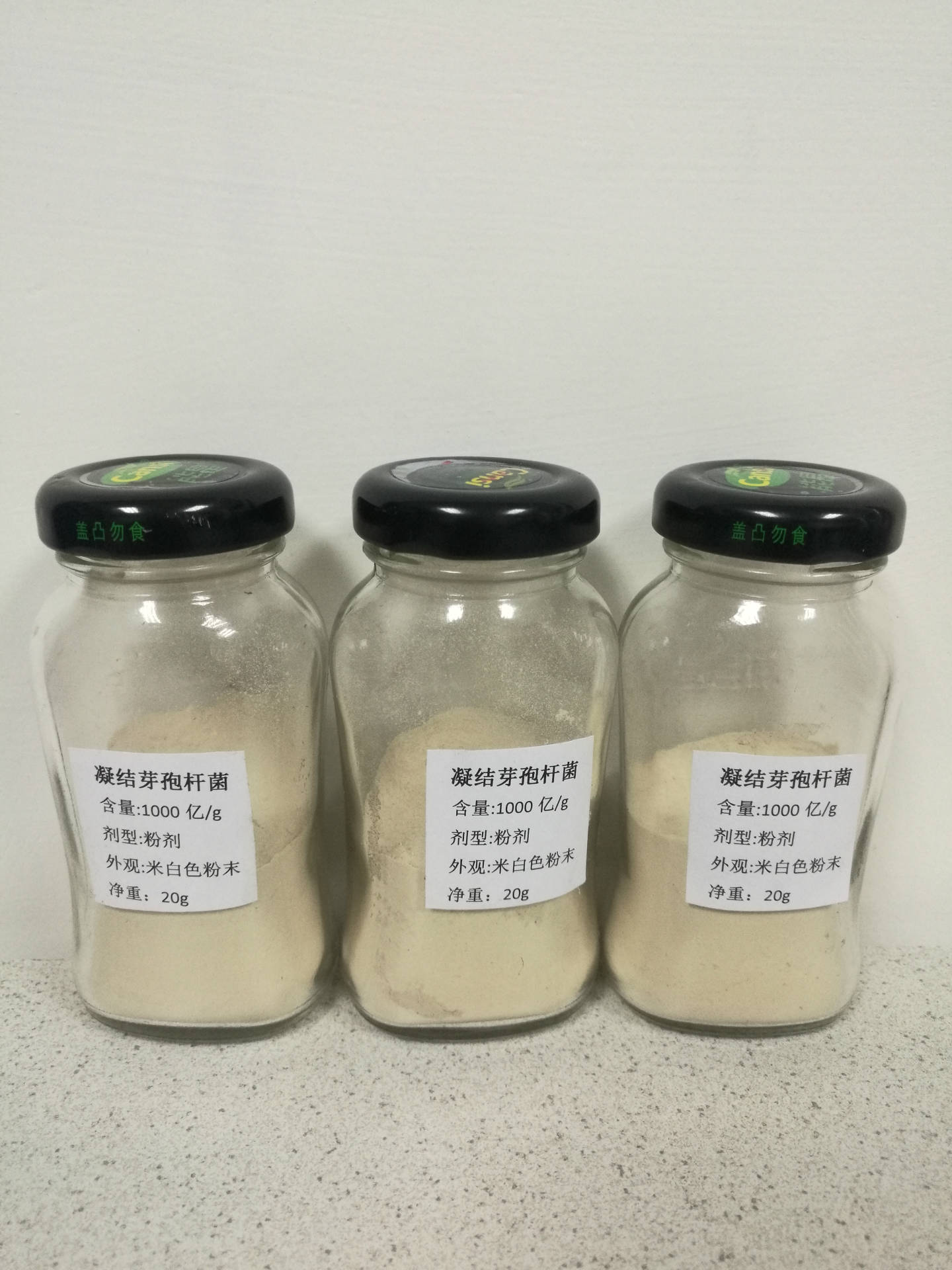 精品展示凝结芽孢杆菌1000亿/g粉剂现货量大包邮凝结芽孢杆菌优惠