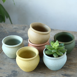 �R���������մɻ��� С����zakka�M���Ǆ���͸��Ĵֲָ����ֲ����