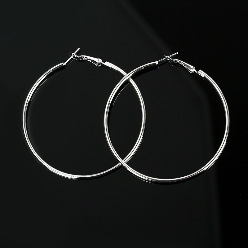 New Simple Geometric Circle Earrings Hypoallergenic Stainless Steel O-ring Hoop Earrings Wholesale display picture 9