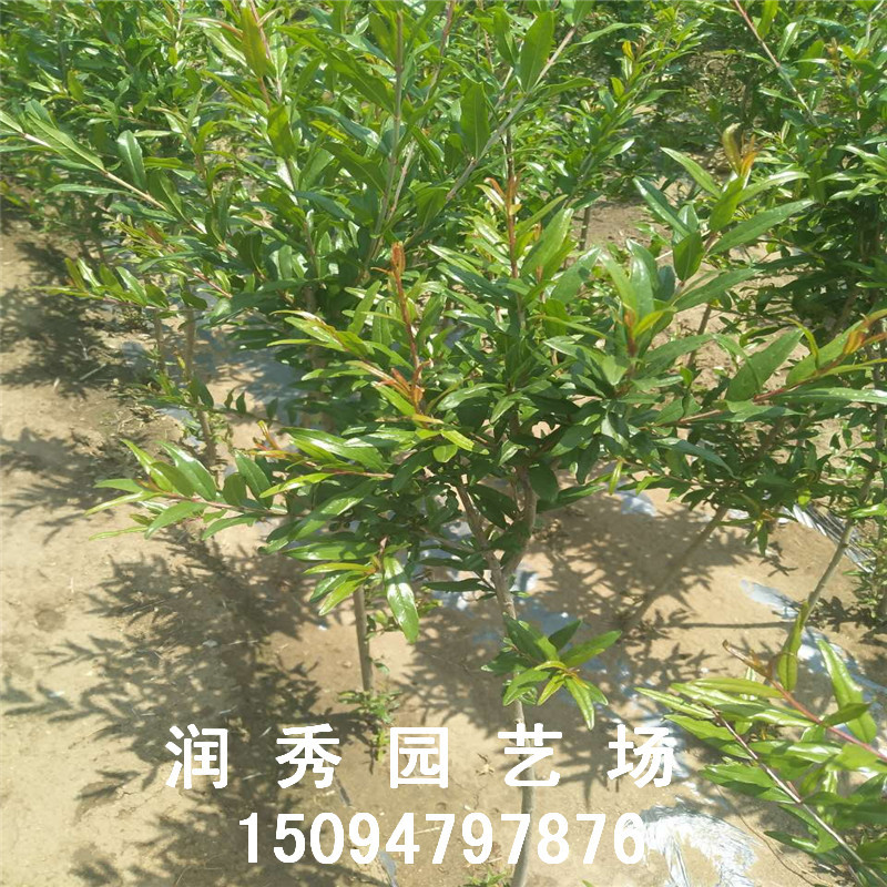 微信圖片_20170622113008