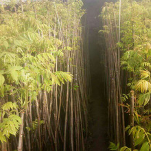 ���l1���ִ����㴻�� ����t���㴻��r�� �����㴻����� ����