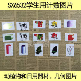 X591学生用计数图片 教学仪器 小学数学实验仪器 数学实验器材