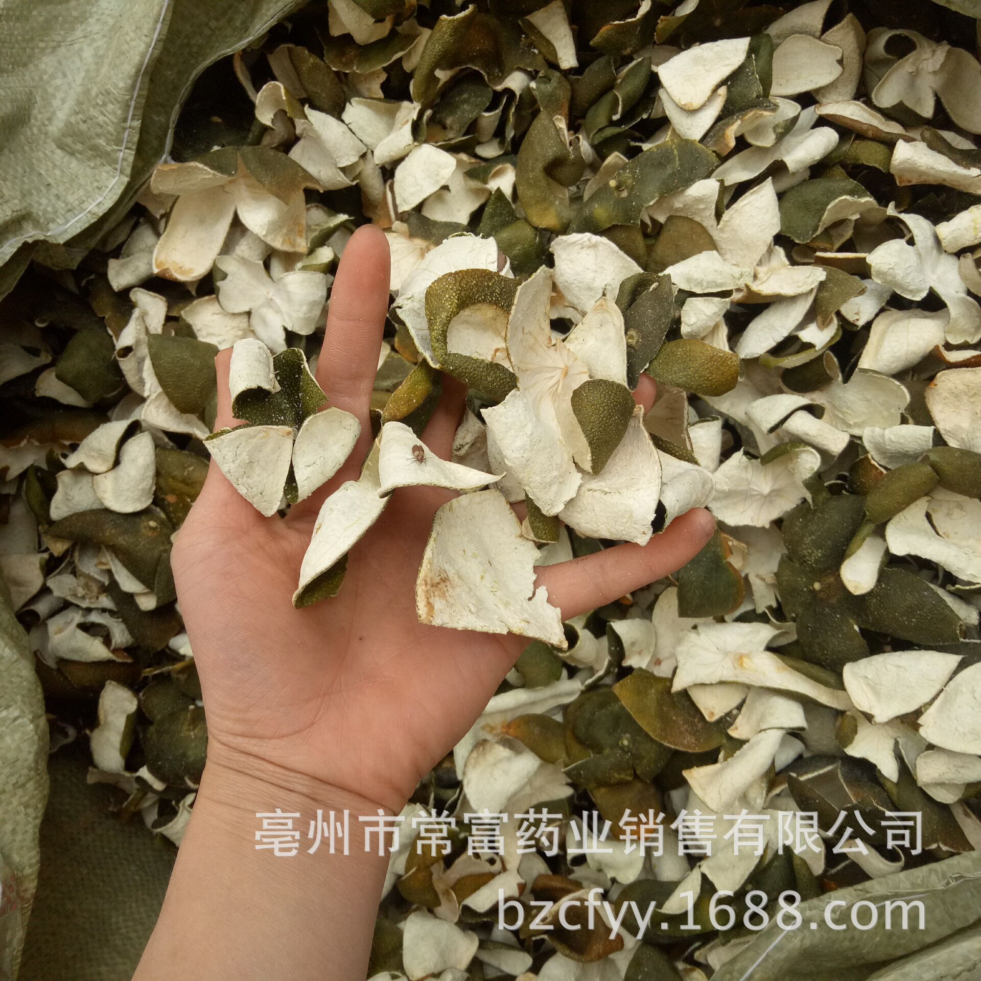 Green Tangerine Peel Qing Pi 500g Dried Citrus Peel Slices for Herbal Tea and Culinary Use specifications