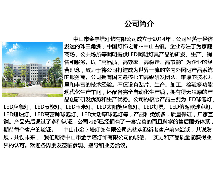 中山市金字塔灯饰有限公司
