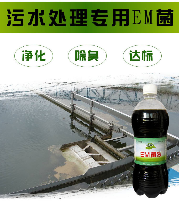 污水处理专用菌