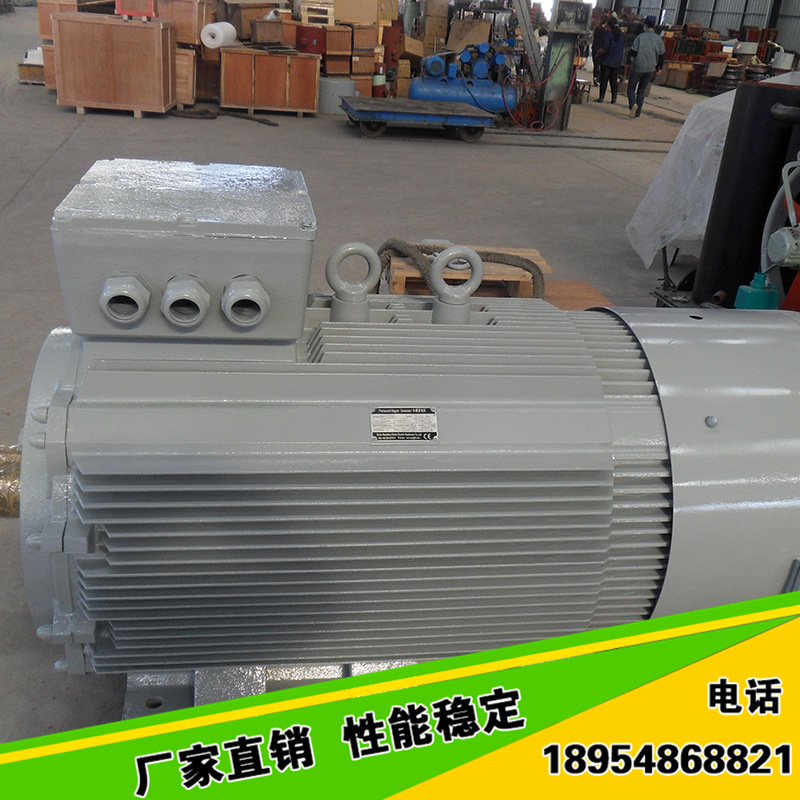 永磁发电机 (15)