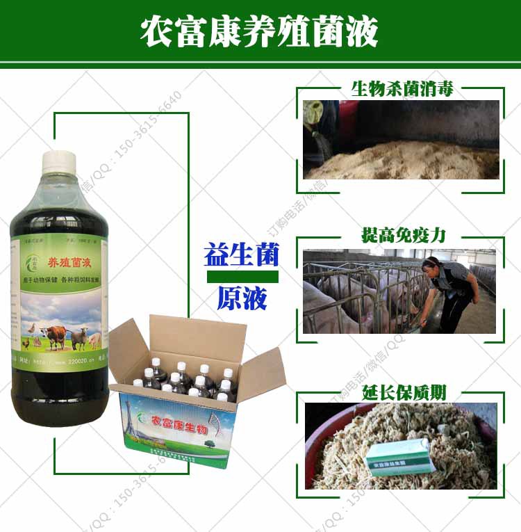 主要功效：生物杀菌消毒；延长发酵饲料保存时间；提高动物免疫力