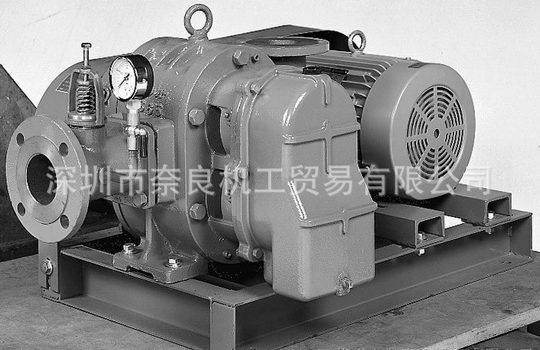 日本ANLET罗茨真空泵BS100V议价