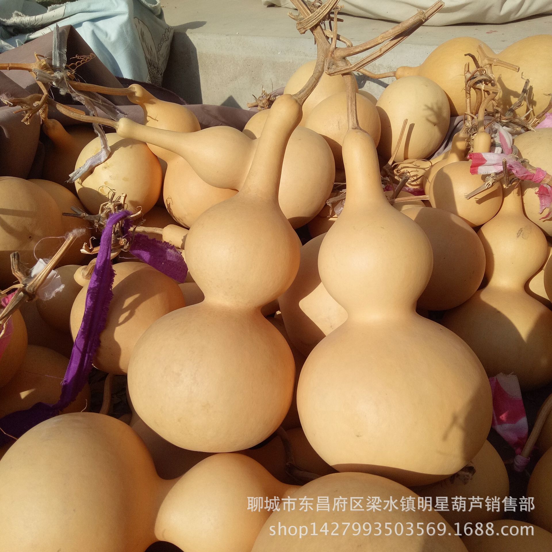 MYXJ_20171211125008_fast