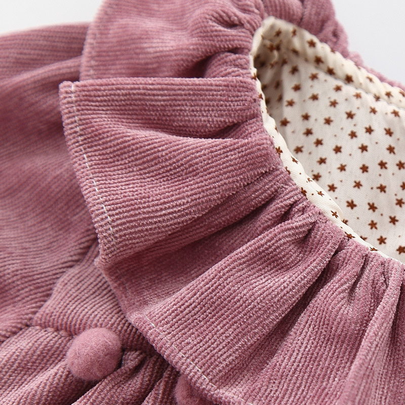 Velvet Baby Dress Image 6