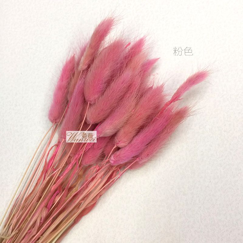 微信图片_20170521112132_副本