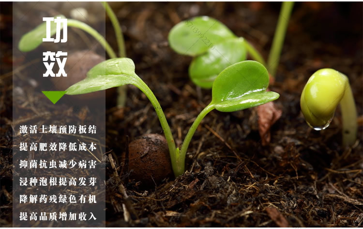 西红柿专用em菌