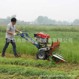 孜然茴香收割机多种型号收割机图片