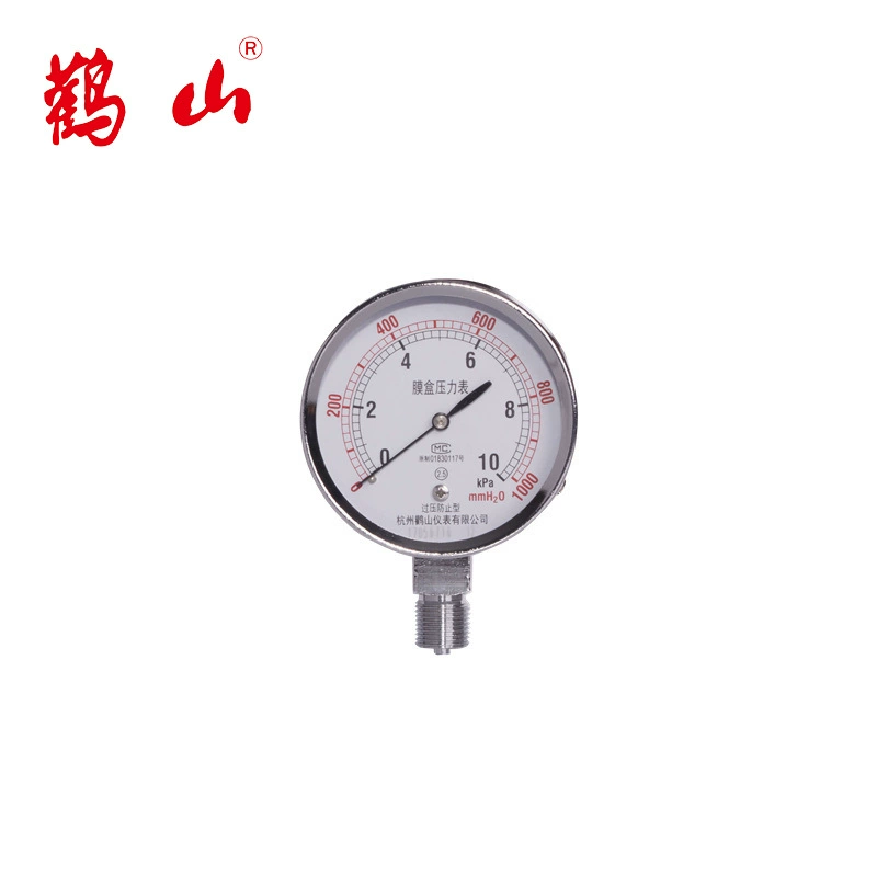 YE75BF мембранный счетчик из нержавеющей стали, измеритель перегрузки давления для предотвращения типа счетчика микродавления, газовый счетчик, производитель Dangshan