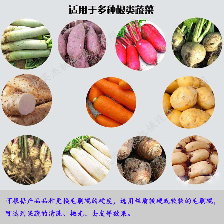 毛辊