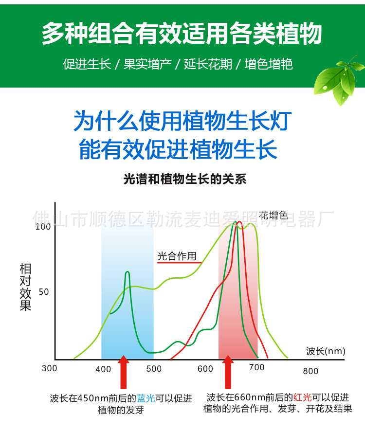 3041449447_246375580