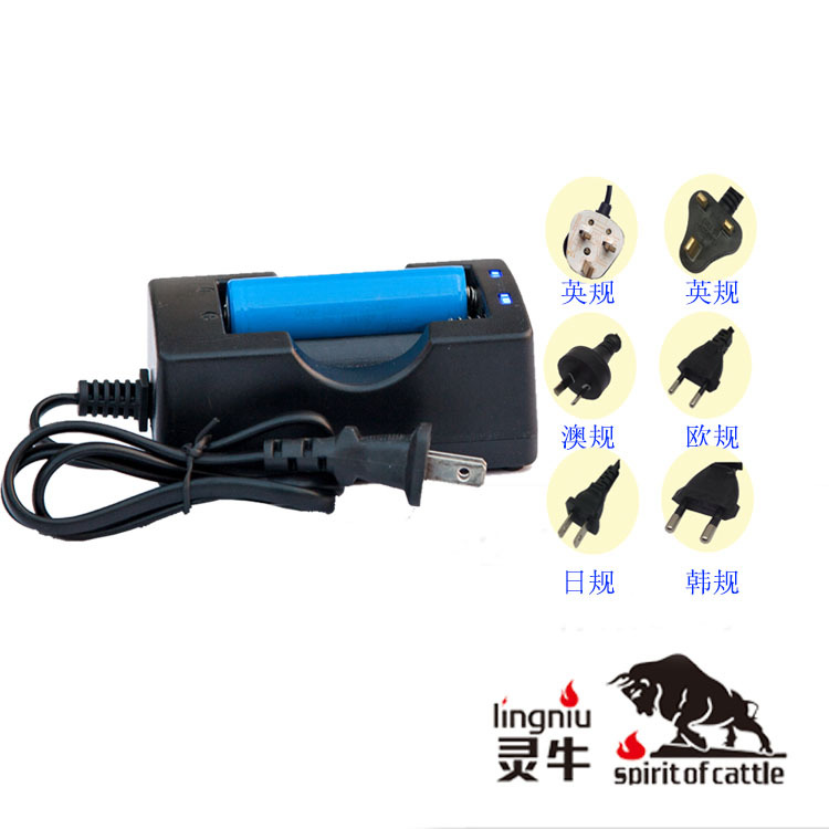 美规双槽18650 磷酸铁锂电池充电器 3.2V2A CE FCC认证 厂家直供