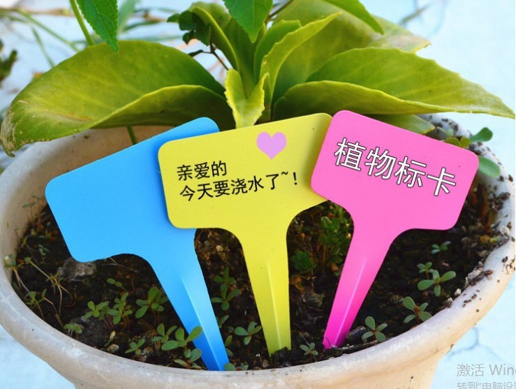 植物插地标牌
