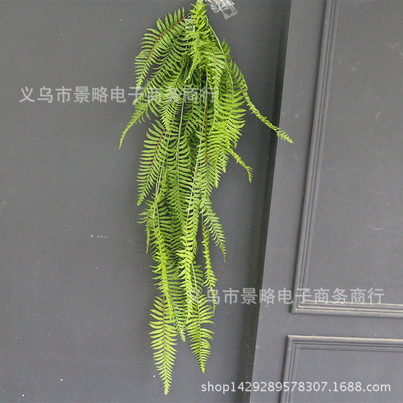 仿真大波斯壁挂绿萝垂挂植物墙配材波斯顿肾蕨如意菜绿景工程装饰