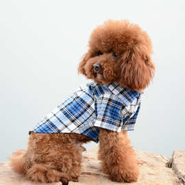 跨境热卖宠物狗狗衣服新款衬衫春夏款博美比熊萨摩耶泰迪一件代发