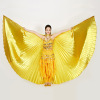 adult 360 Belly Dance Golden-winged Silver wings Belly dance wings India dance dance wing costume