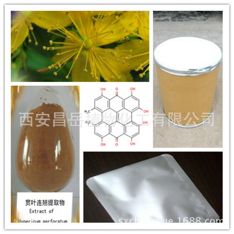 貫葉連翹