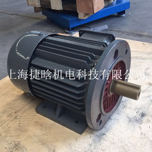 �Ϻ�늙C YX3-200L1-2 30KW IP55 F�����ஐ��늄әC