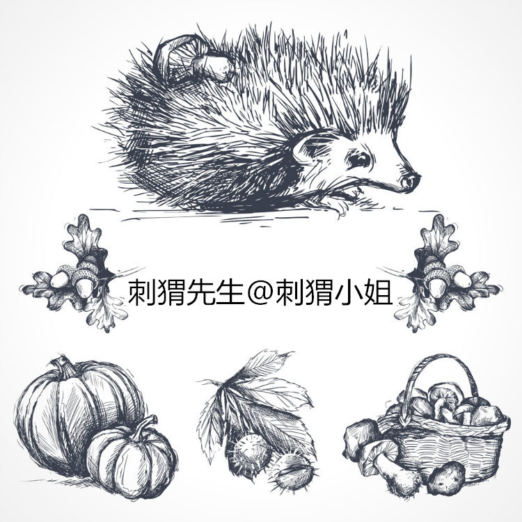 5329584807 1744051483