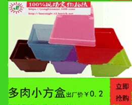 3067193005_613477518